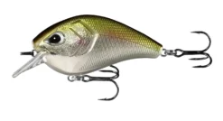 13 Fishing Flatty Daddy 2 1/2 Inch Flat-Sided Squarebill Crankbait -Cheap Angleris Store 13FISHING 014 55f8223f e6d8 46fe b7d0 a6f94646ccbe