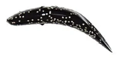 Worden's Flatfish -Cheap Angleris Store 756 3022 l