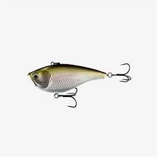 Berkley Wakebull Wake 11 Berkley Wakebull Wake - Image 11