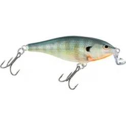Rapala Shad Rap Shallow Runner -Cheap Angleris Store GILL