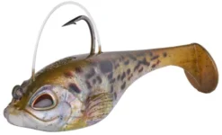 Berkley PowerBait Agent E -Cheap Angleris Store GOBY 5c2a0b19 fd1e 4f22 bec5 1bbd31879da6