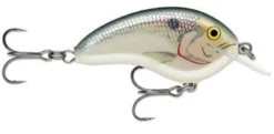 Rapala OG Tiny 04 Shallow Diving Crankbait 2 1/4 Inches 5/16 Oz. -Cheap Angleris Store Rapala 1 f42b89cb 610e 4fa1 bde0 9ccec378c91a
