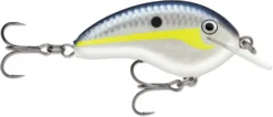 Rapala OG Tiny 04 Shallow Diving Crankbait 2 1/4 Inches 5/16 Oz. -Cheap Angleris Store Rapala 4 fc7bf562 8c0c 4e95 97a2 aeafd7b75d6f