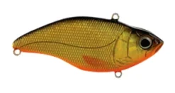 Spro Aruku Shad 75 Lipless Crankbait -Cheap Angleris Store SAS75GoldBlack 450.3