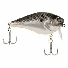 Berkley Wakebull Wake 5 Berkley Wakebull Wake - Image 5