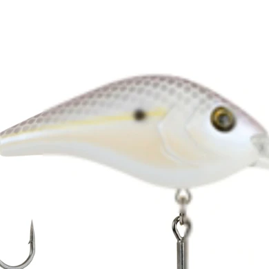 BERKLEY DREDGER 17 BERKLEY DREDGER - Image 17