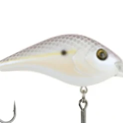 BERKLEY DREDGER 37 BERKLEY DREDGER -Cheap Angleris Store download 11 1576ab31 721d 4fc3 956a da8e4a4c381f