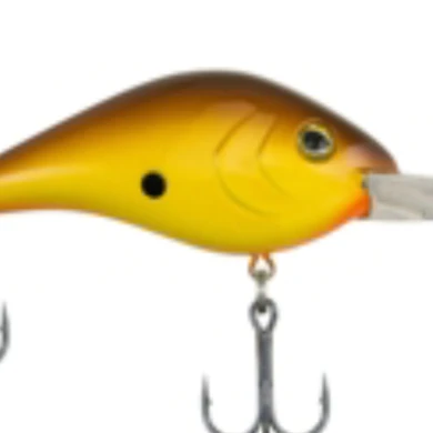 BERKLEY DREDGER 20 BERKLEY DREDGER - Image 20