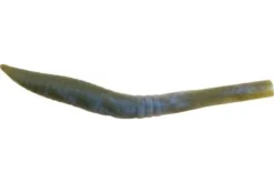 Berkley Gulp Killer Crawler -Cheap Angleris Store download 1 aa670b95 b77d 4a09 bd14 4cfc0ee521f5