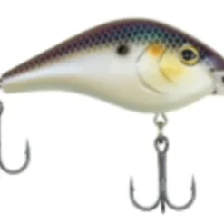 BERKLEY DREDGER 24 BERKLEY DREDGER -Cheap Angleris Store download 4 e8636c0b 36b2 4bc9 8dd0 0986a454d03a