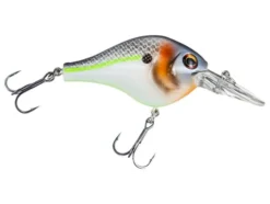 BERKLEY DIGGER -Cheap Angleris Store download 8baf2d0e e369 46b0 ab6f 24524cbf7f17