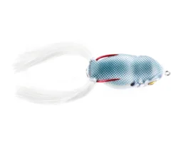 SCUM FROG LAUNCH SERIES -Cheap Angleris Store launch frog 2 2 IG