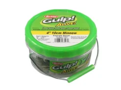 Berkley Gulp Alive Minnow Jars -Cheap Angleris Store rs 2 213f8af0 3139 4b96 a28a 5f0c9a7af559