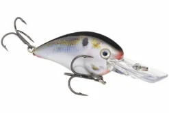 Strike King - KVD Square Bill Crankbait -Cheap Angleris Store strike king kvd 1 5 deep crankbait hckvds1 5d 699